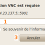 serveur_vps_linux_visionneur_bureaux_distants_password.png
