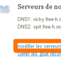 nom_domaine_gandi_modifier_dns.png