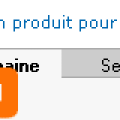 nom_domaine_ovh_selection_domaine.png