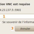 serveur_vps_linux_visionneur_bureaux_distants_password.png